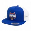 Florida Gators 2025 Basketball National Champions 3D YP Snapback Flat Bill Trucker Hat- Royal/ White