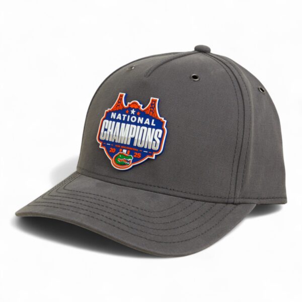 Florida Gators 2025 Basketball National Champions 3D Snapback Canvas Hat- Charcoal