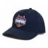 Florida Gators 2025 Basketball National Champions 3D Snapback Canvas Hat- Navy