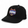 Florida Gators 2025 Basketball National Champions 3D Snapback Canvas Hat- Black