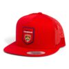 Florida Panthers Stanley Cup Champions 3D YP Snapback Flat Bill Trucker Hat- Red