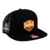 Tennessee Volunteers 2024 NCAA Men's College World Series Champions 3D Snapback Seven-Panel Flat Bill Trucker Hat- Black