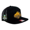 Tennessee Volunteers 2024 Men's College World Series 3D Snapback Seven-Panel Flat Bill Trucker Hat- Black