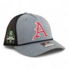 Arkansas Razorbacks Baseball Script A 2025 College World Series 3D Snapback Trucker Rope Hat- Heather Grey/ Black