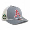 Arkansas Razorbacks Baseball Script A 2025 College World Series 3D Snapback Trucker Rope Hat- Heather Grey/ White
