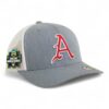 Arkansas Razorbacks Baseball Script A 2025 College World Series 3D YP Snapback Trucker Hat- Heather Grey/ White